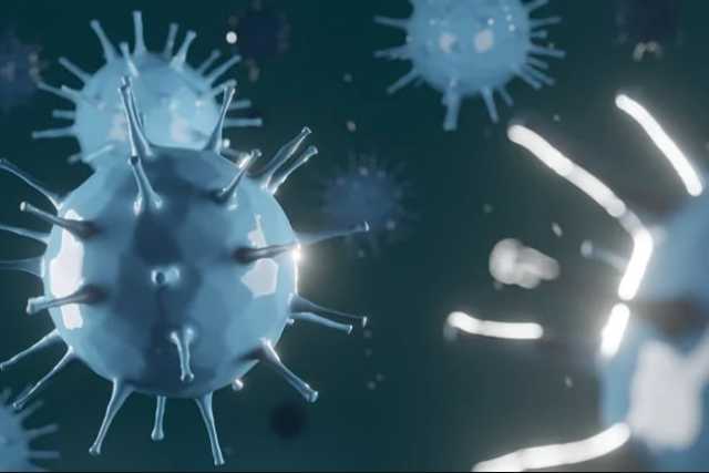 Coronavirus, in Puglia 5 nuovi casi: positivo lo 0,35% dei tamponi